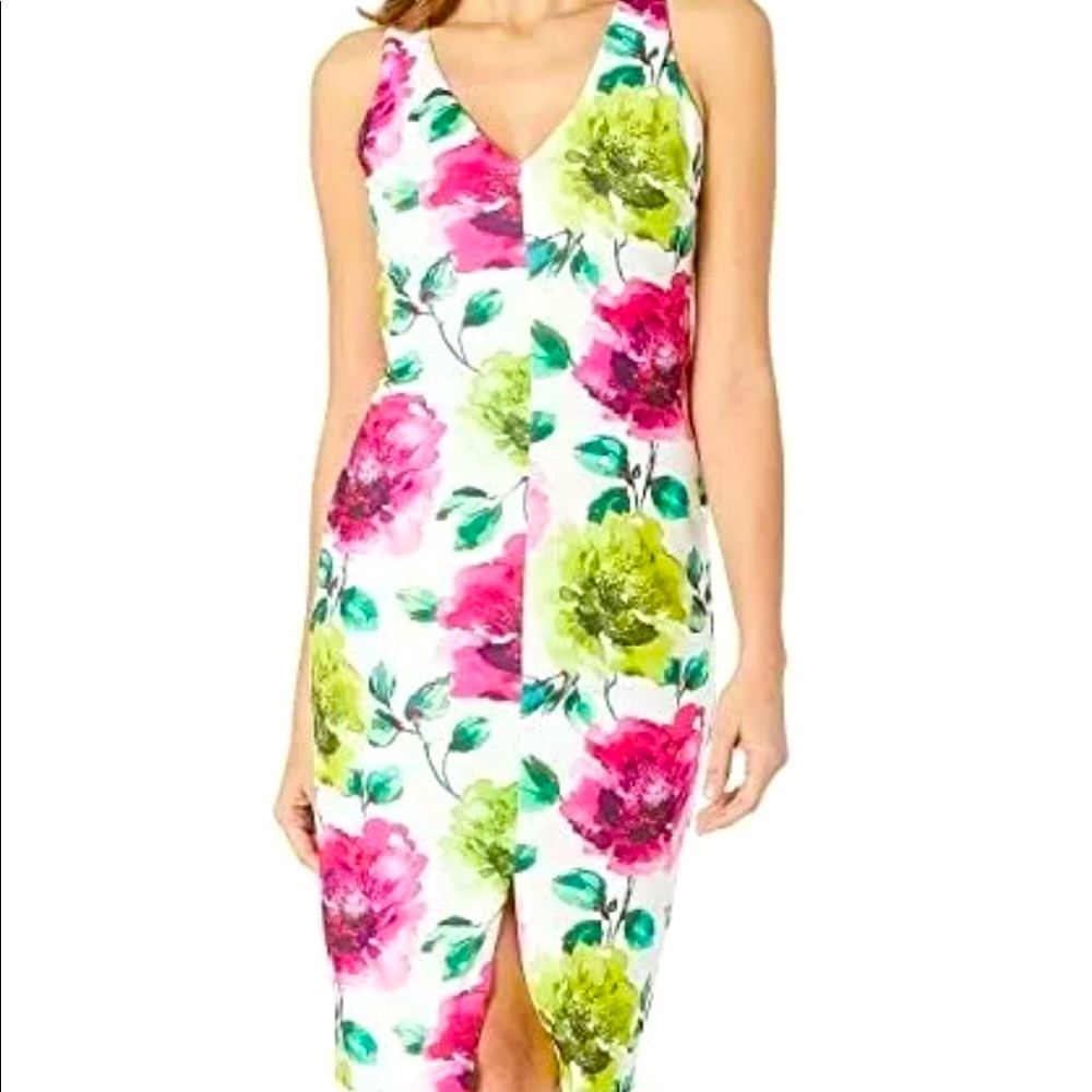 Alexia Admor Floral Dress